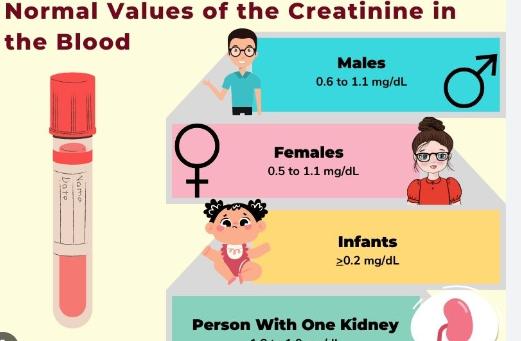 when-to-worry-about-creatinine-levels-prohubnews